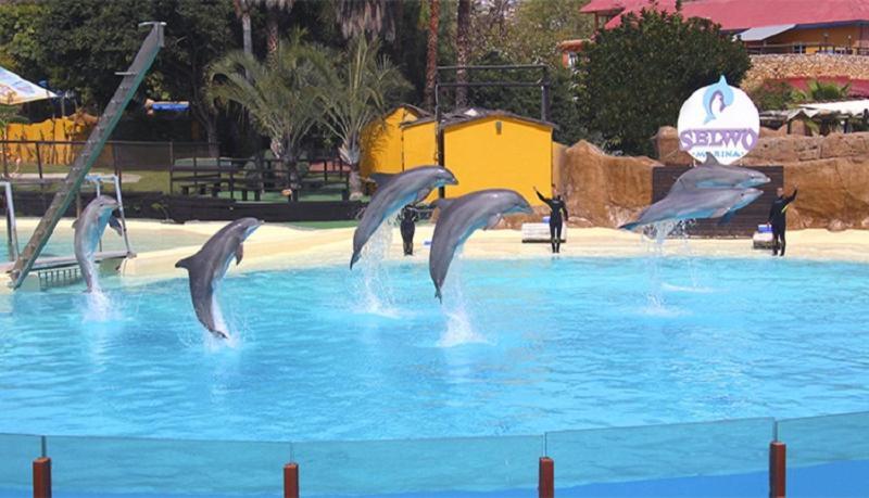 Paseo Maritimo Los Boliches. 푸엔히롤라 외부 사진